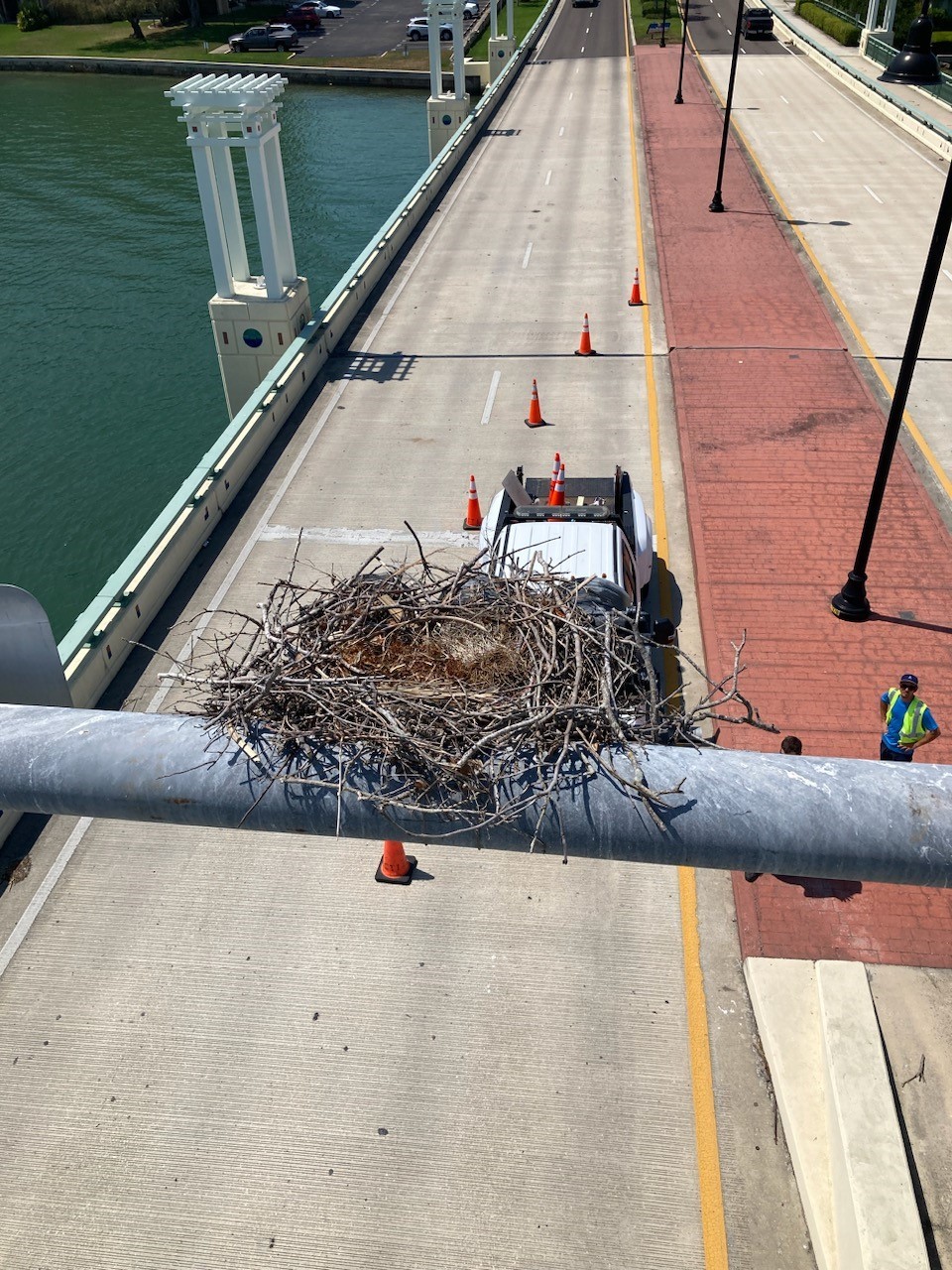 Osprey nest on Treasure Island Causeway Bridge