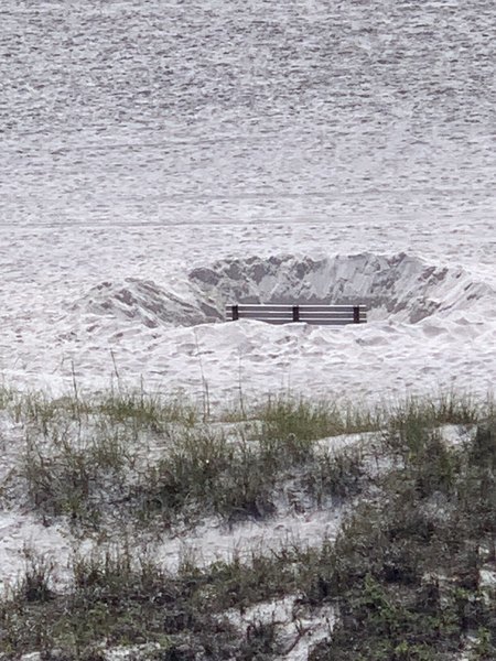 Park bench inside hold on the beach