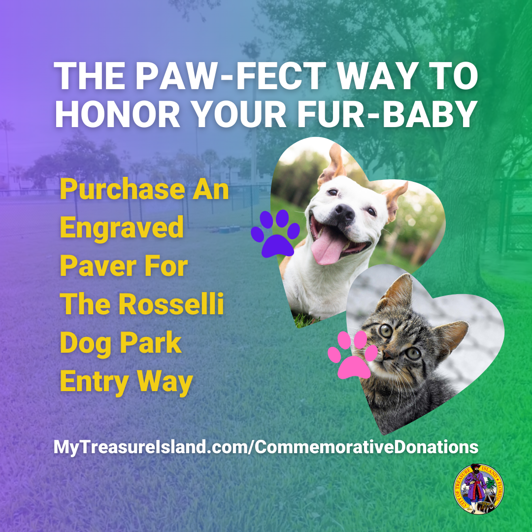 Purchase a dog paver