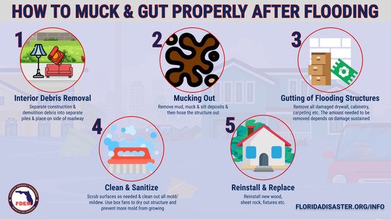 How to Much and Gut Properly After Flooding 