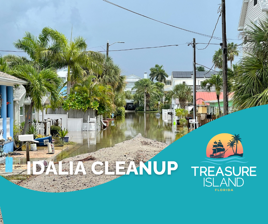 Idalia Cleanup Information
