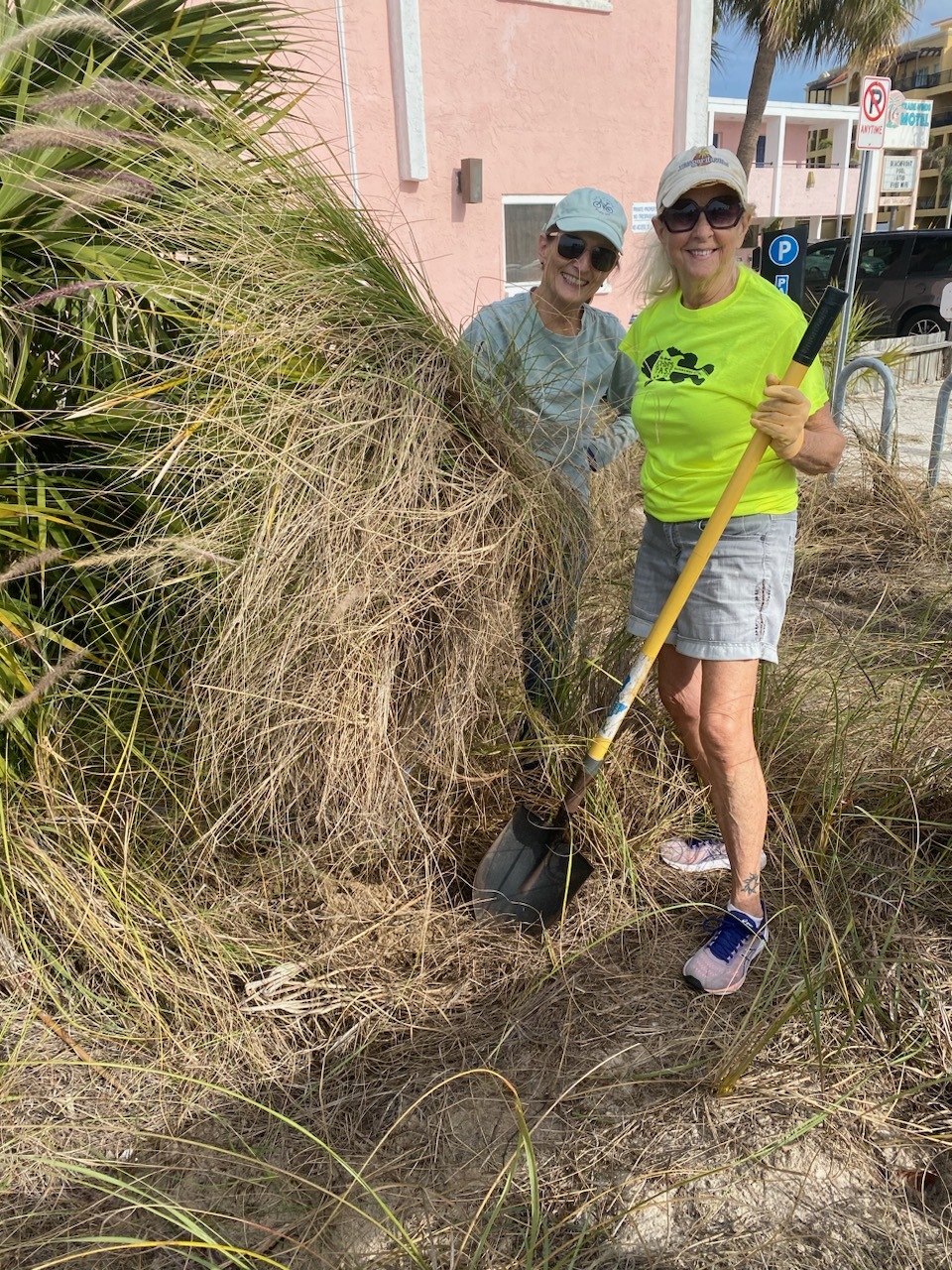 Volunteers from Dune Savers of Treasure Island removing invasive plant species
