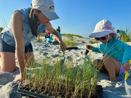 Mother and daughter planting a sea oat on the beach