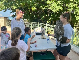 Treasure Island summer campers looking at a owl