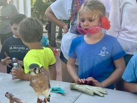 Summer camper looking at a small owl up close