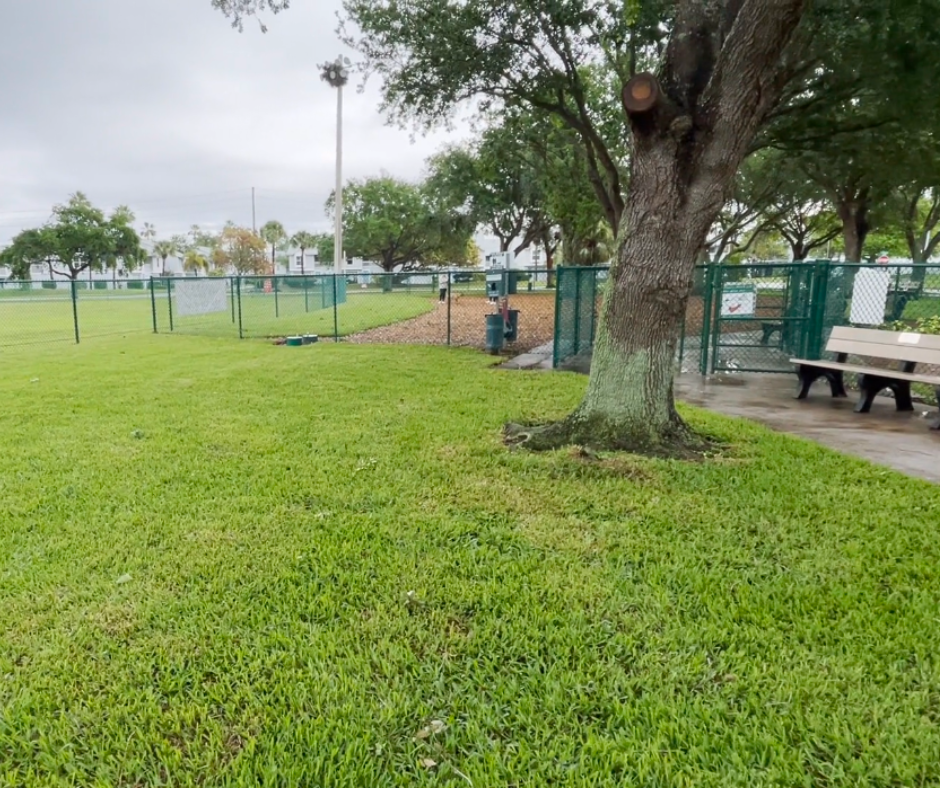 Dog Park at Rosselli Park