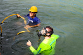 Workers in water placing oyster domes