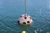 Oyster dome being lowered into water near Treasure Bay shoreline for Living Shoreline Project