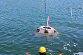 Oyster dome being lowered into water near Treasure Bay shoreline for Living Shoreline Project