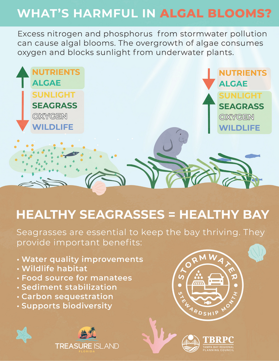 ALgae blooms and seagrass