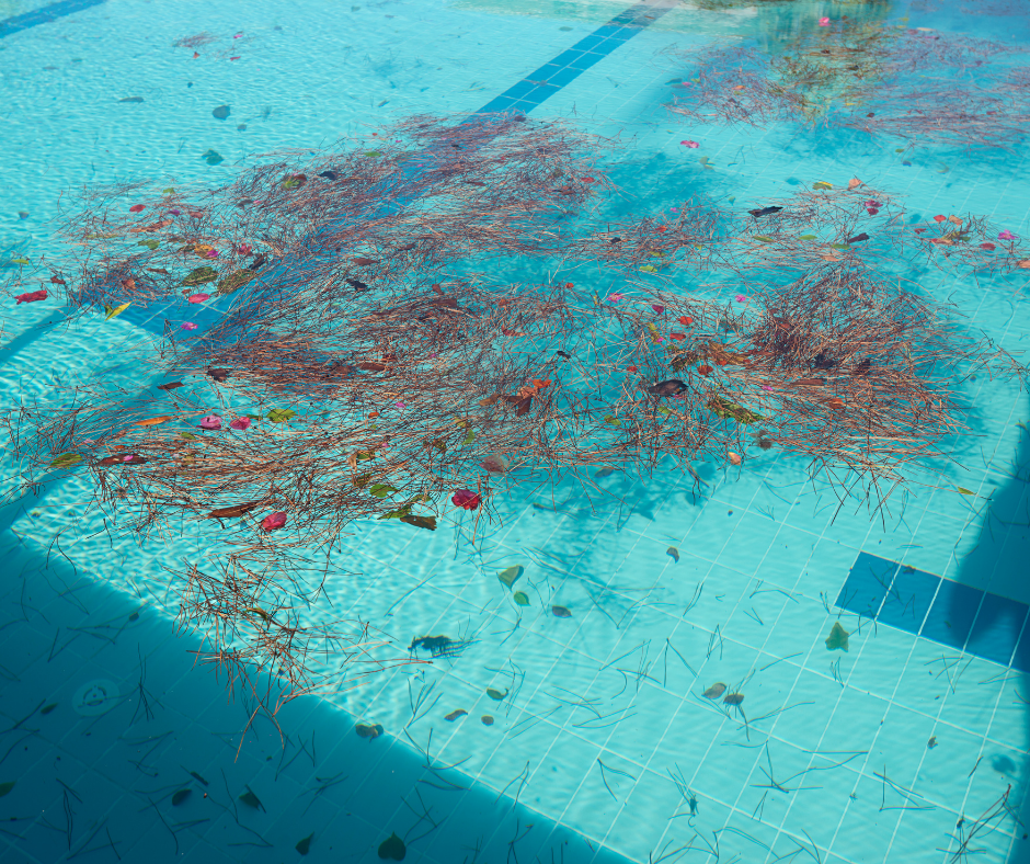 Pool with stagnant water