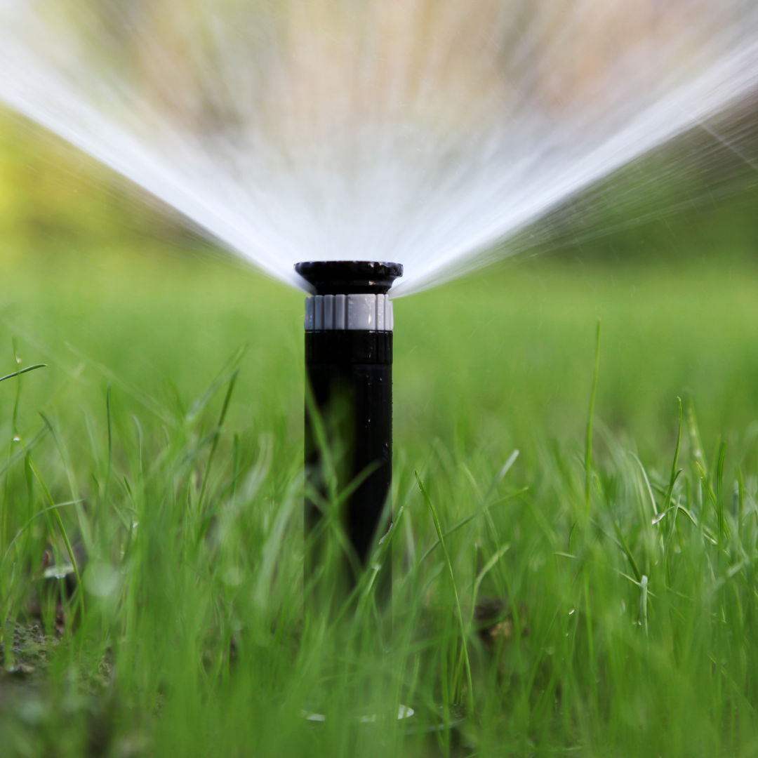 Lawn sprinkler