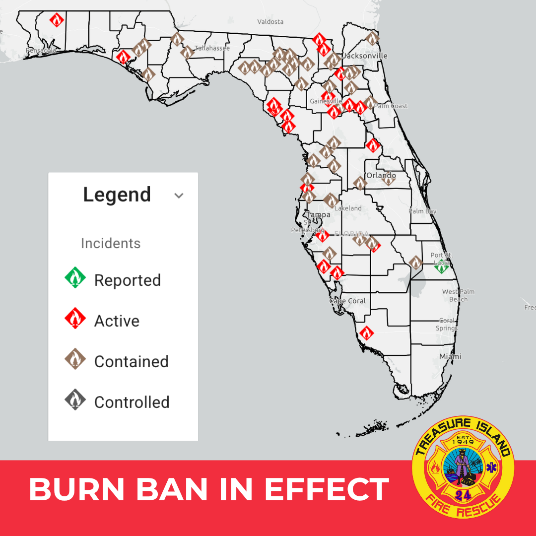 Map showing wildfires active in the State of Florida