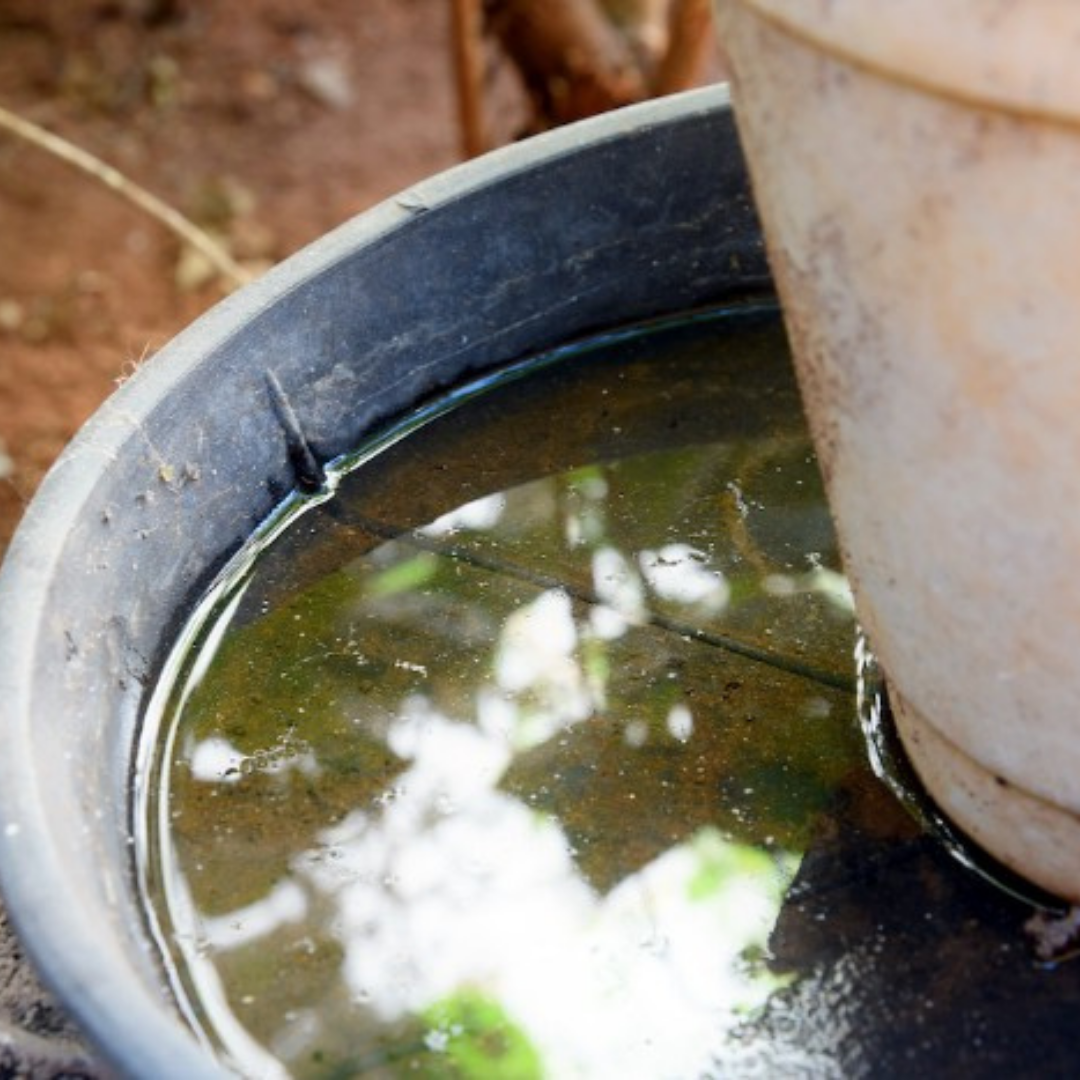standing water in a plant pot