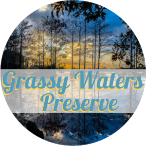 Grassy Waters Preserve