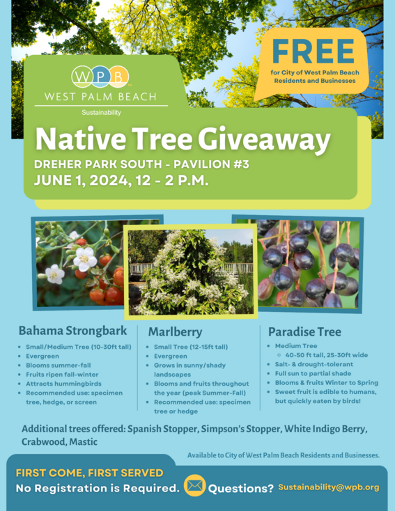 June 1 2024 tree giveaway