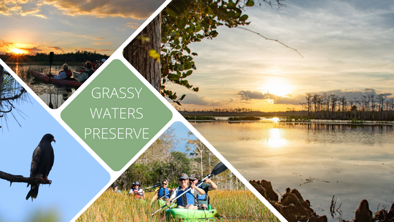 Grassy Waters Preserve