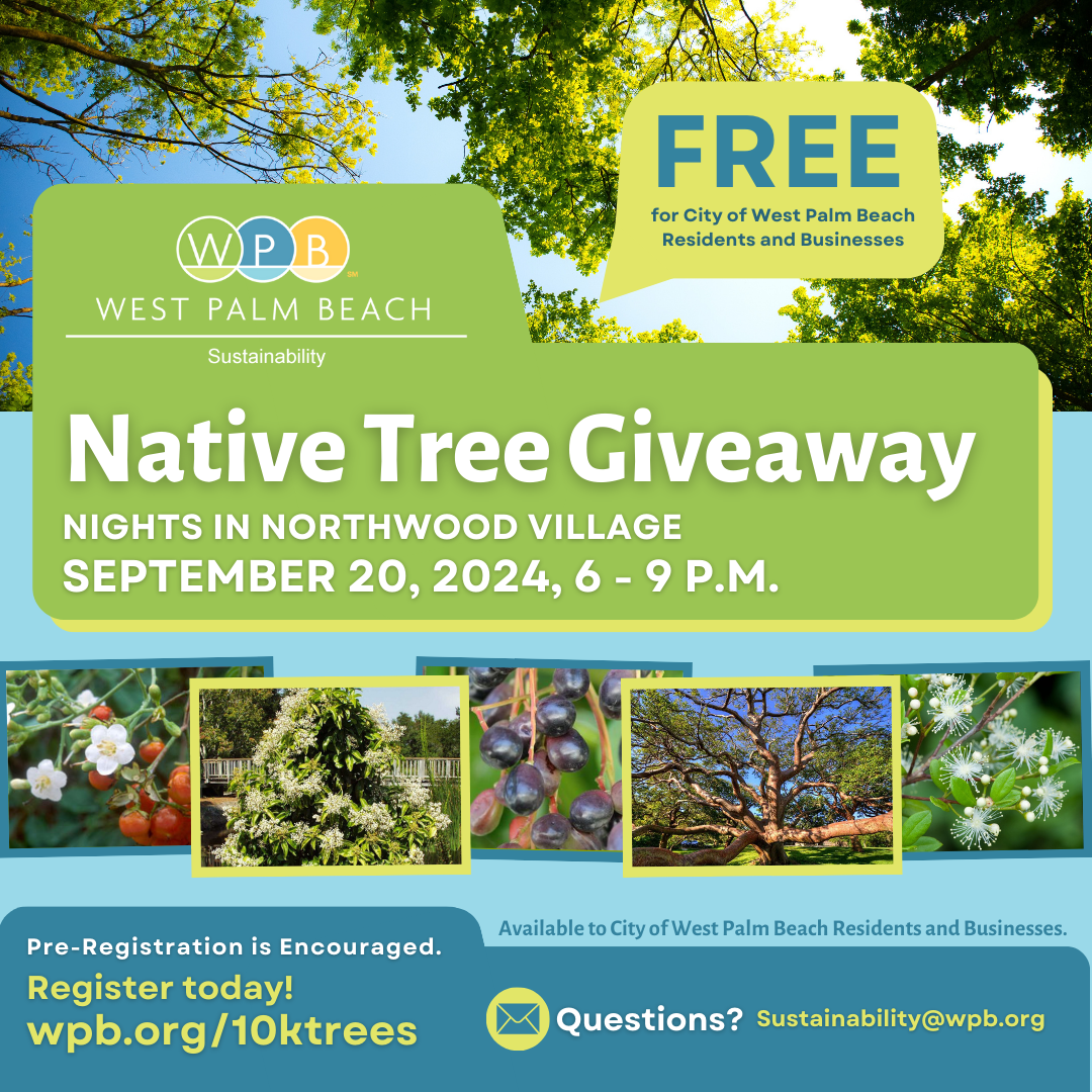 Office of Sustainability giving away up to 4 native trees per WPB resident/business Sept. 20 at Nights in Northwood Village 