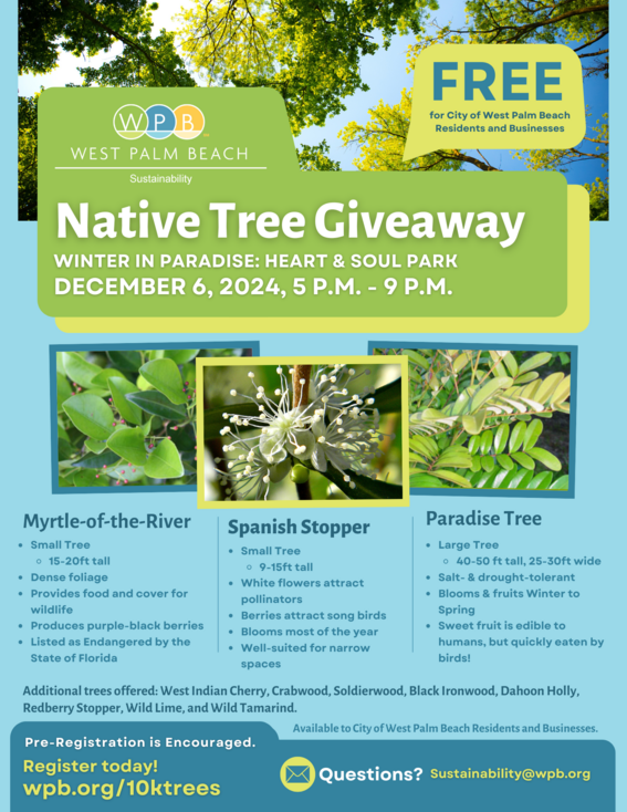 December 6 2024 Tree Giveaway version 2