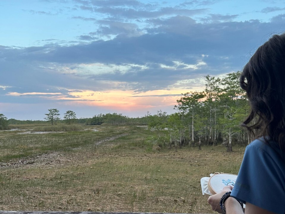 Sunset Program Evening Programs at Grassy Waters Preserve