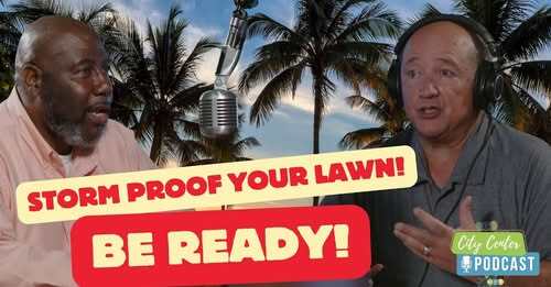 Podcast Amnesty Days