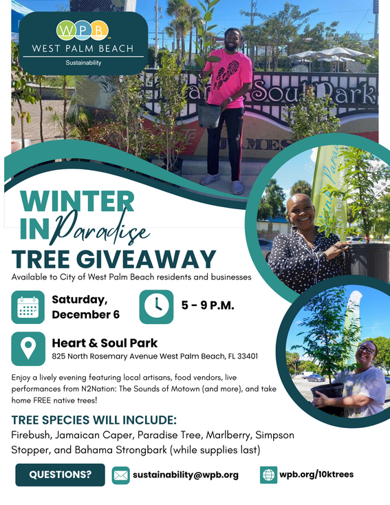 Winter in Paradise 2025 Tree Giveaway