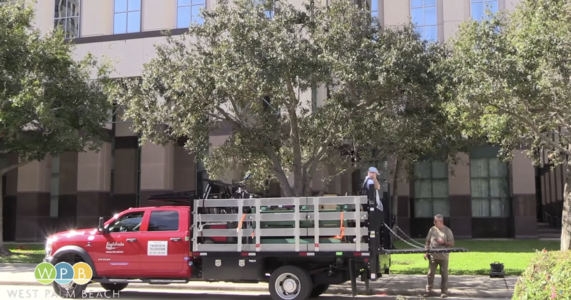 ABC RJ Decker - WPBTV coverage 