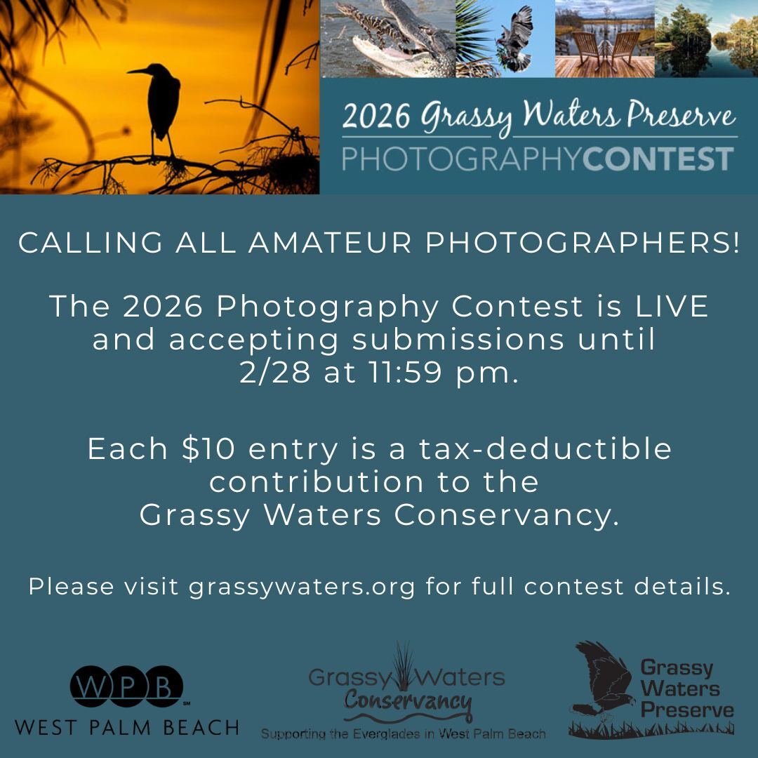 GWP Photo contest 2026