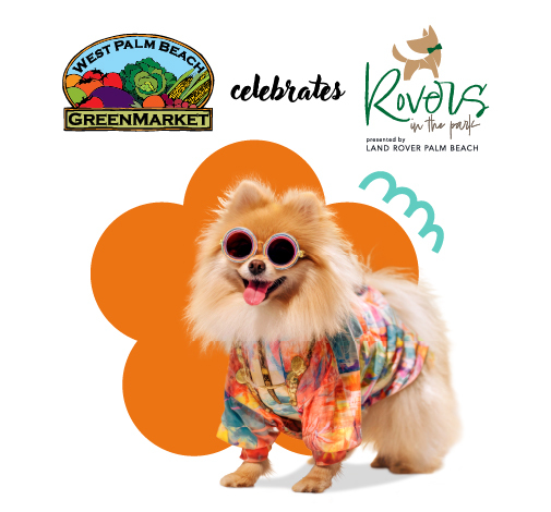 Rovers in the Park Presented by Land Rover Palm Beach