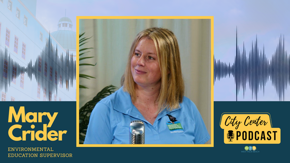 Mary Crider Grassy Waters Preserve Environmental Education Supervisor on the WPB City Center Podcast, Promo Banner
