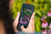 City Nature Challenge Photo Taking
