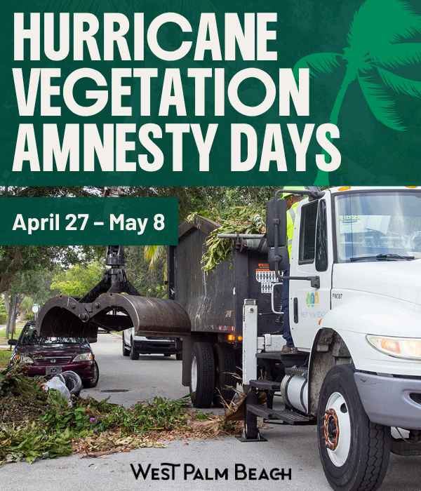 Vegetation Amnesty Days
