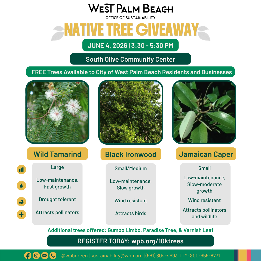 Tree giveaway 6.4.2026