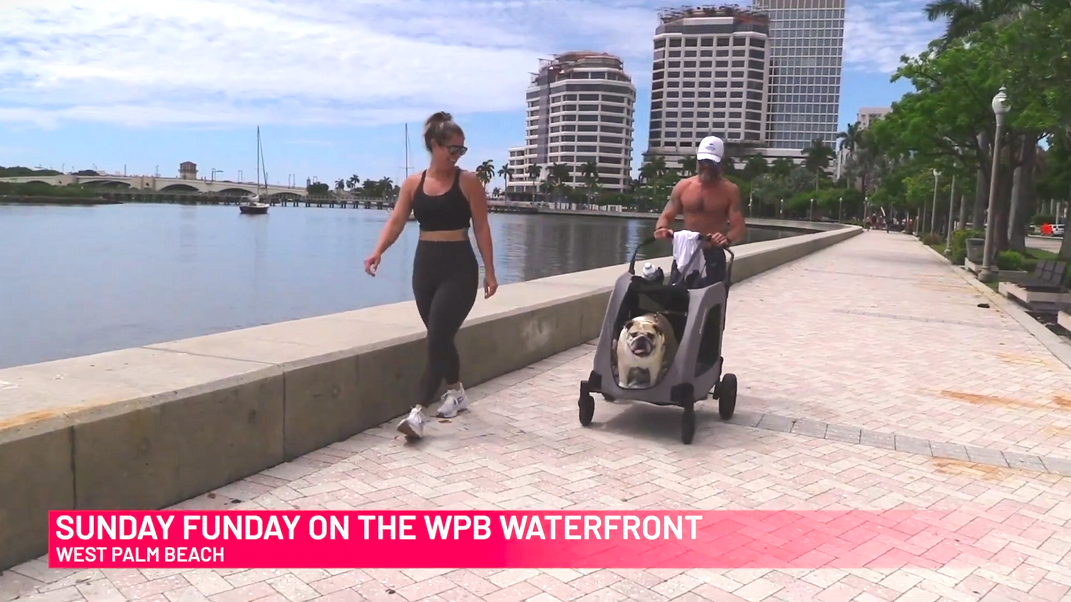 person strolls along the waterfront, pushing a stroller with a bulldog inside. Another person walks nearby. 