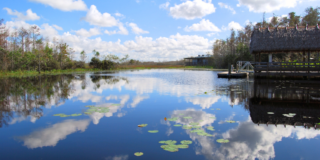 grassywaters