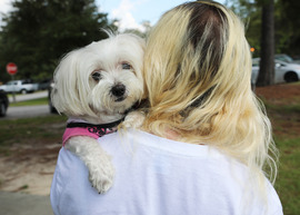 Pets depend on owners to plan ahead to keep them safe during emergencies