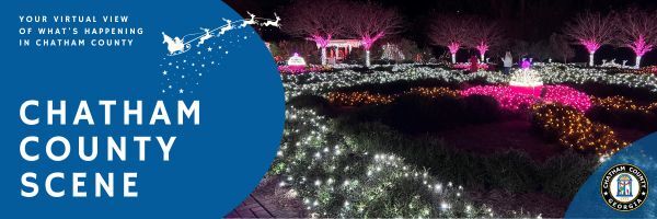 seasonal light display at botanical gardens