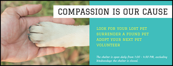 Aimal Services - compassion is our cause 