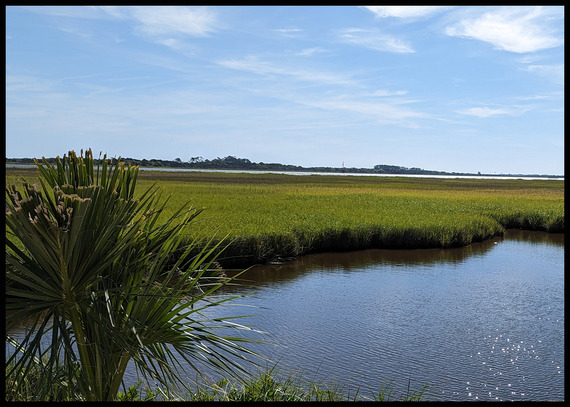 tidal salt marsh and blue sky