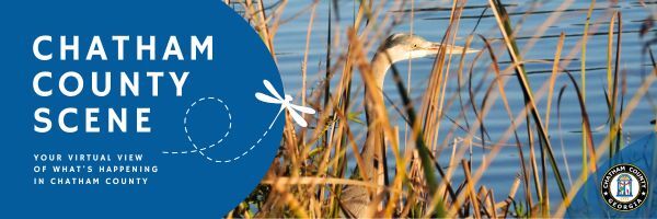 County Scene Header - Sept25