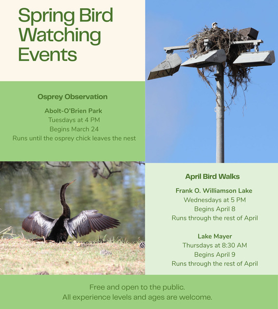 Spring Bird Watching Events
