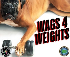 wagsscene