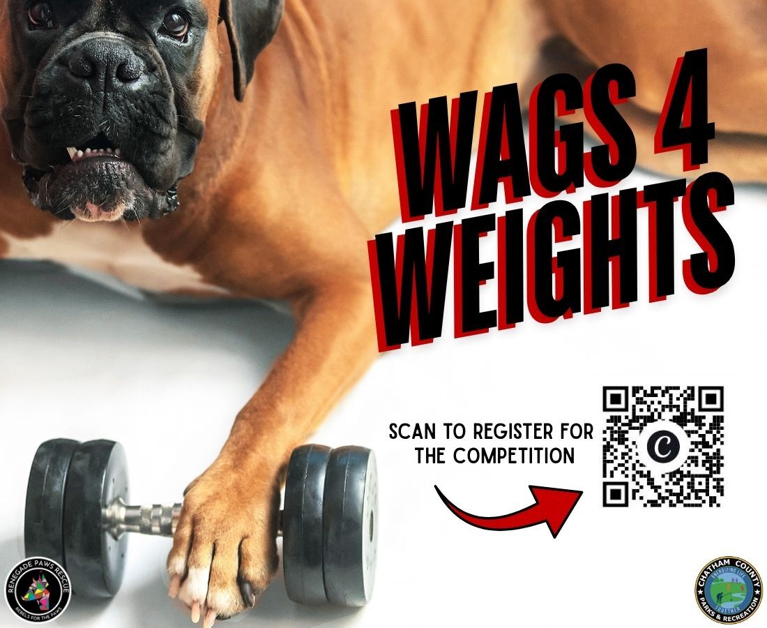 Wags4Weights2