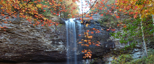 cloudland canyon leaf watch fall color