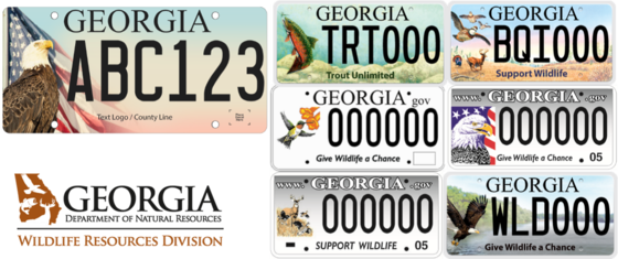 License plates collage