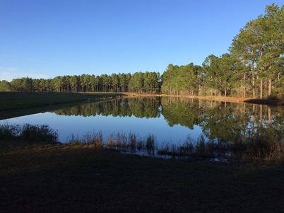 ParadisePFA HorseshowLake6