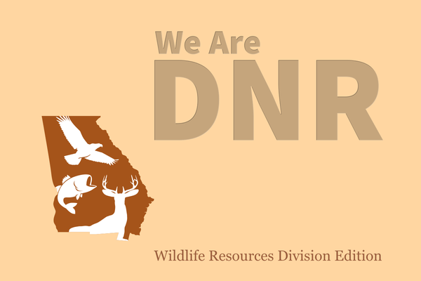 We Are DNR