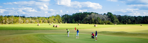 Brazell's Creek Golf