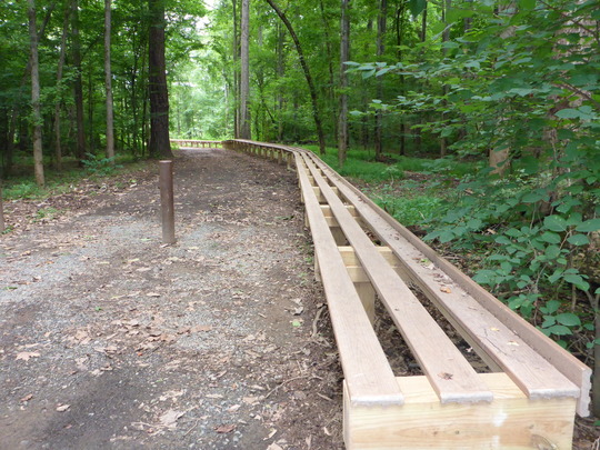 Canoe Steps BigLazer