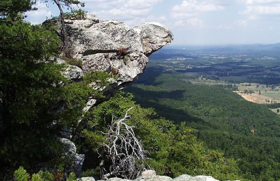 Brow at Zahnd WMA (Jon Ambrose/DNR)